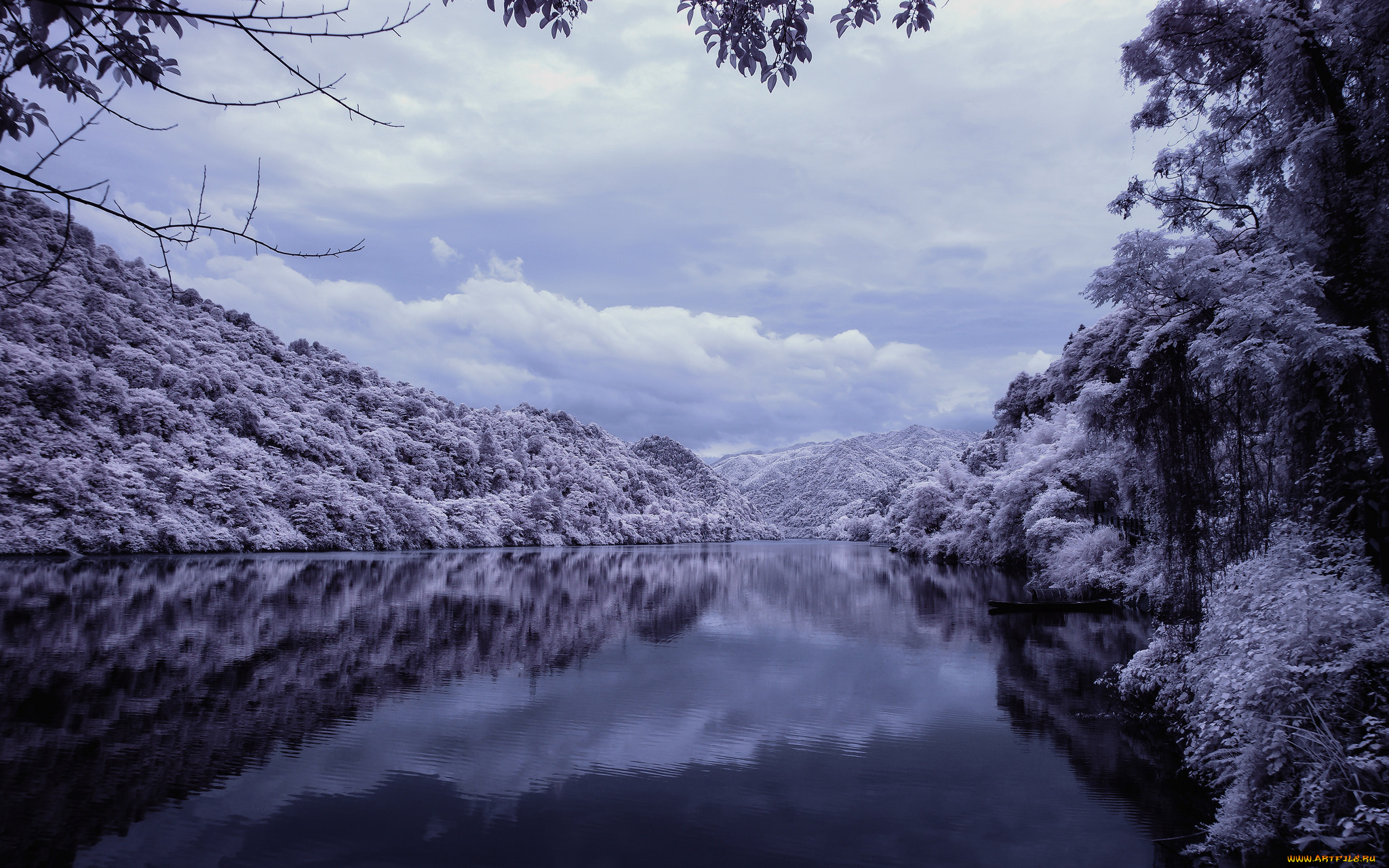 , , , winter, view, , snow, , river, trees, , , , 